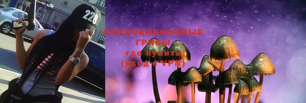 бошки Балахна