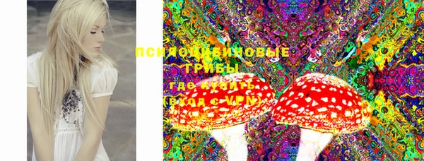 скорость Баксан