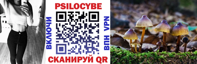 Псилоцибиновые грибы прущие грибы  Купить  Донской 